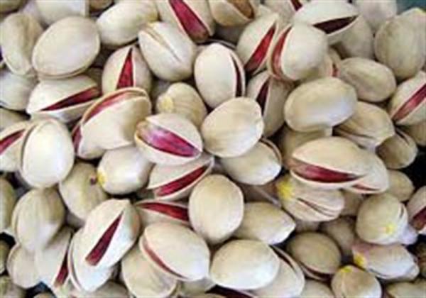 pistachio importers