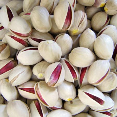 Top brands of pistachios in Iran 