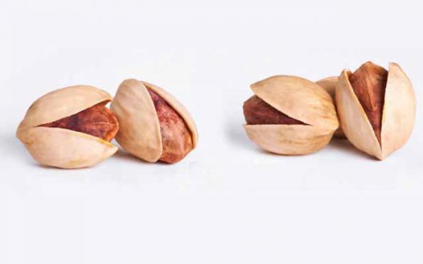 World's best pistachio suppliers & dealers