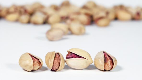 Iranian Pistachio Supplier & Exporter