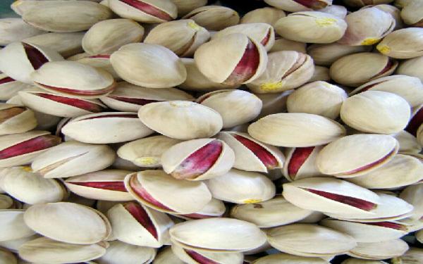 Which is healthier raw or roasted pistachios?