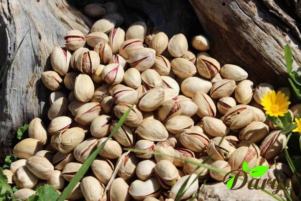 Health Benefits of the Best Natural Pistachios