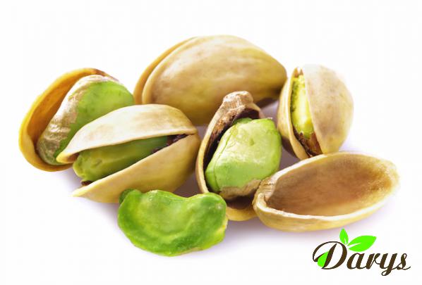 Raw Pistachios with Shell Exportation