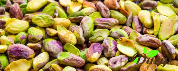 Organic Pistachio Kernels Bulk Price